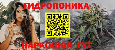Альфа ПВП Комсомольск-на-Амуре