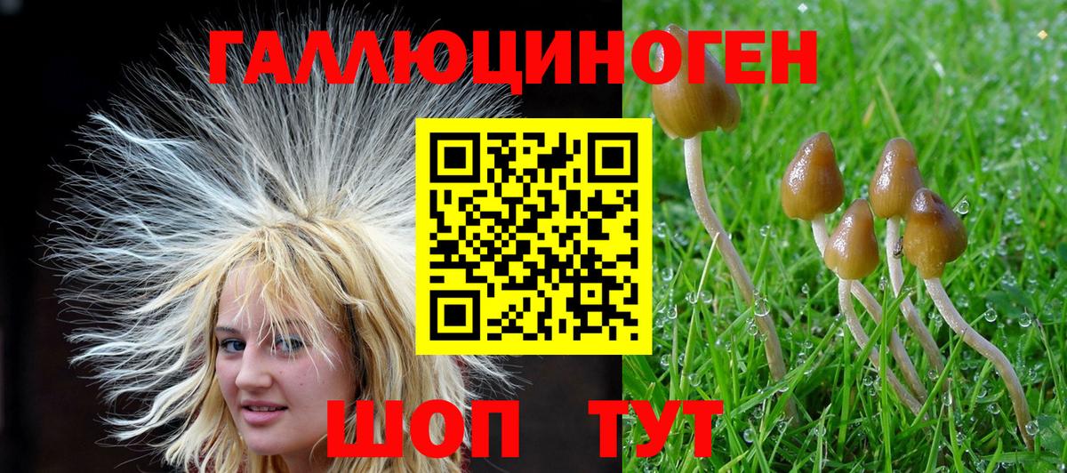 Галлюциногенные грибы GOLDEN TEACHER  Вход с VPN  Калуга 