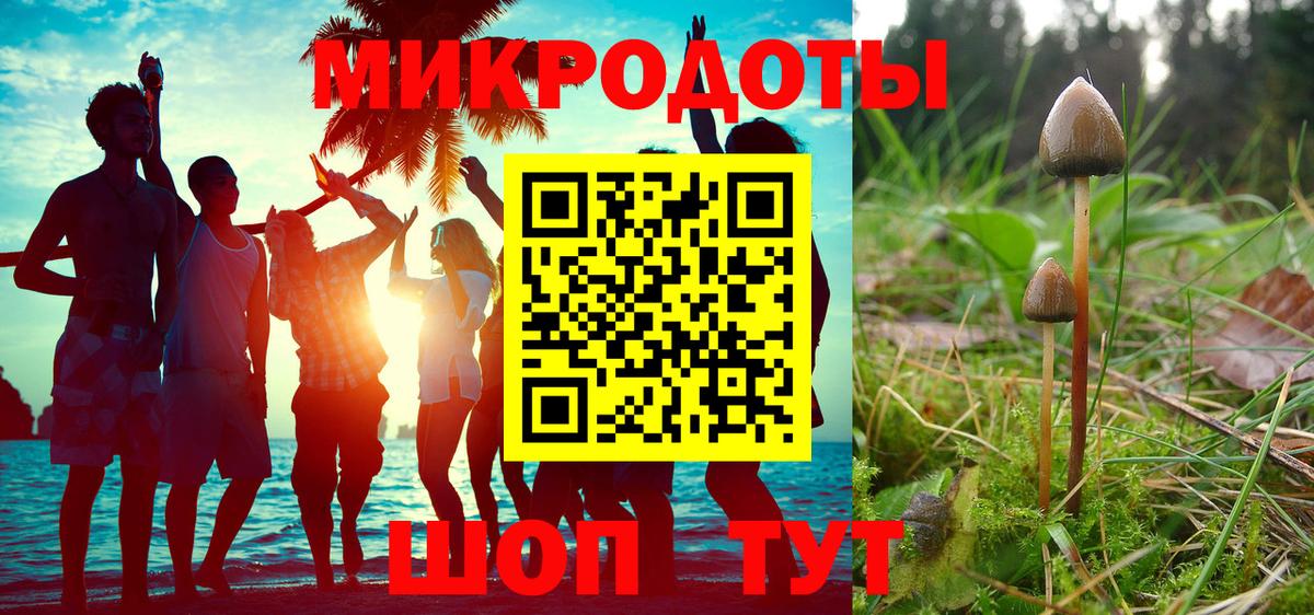 Псилоцибиновые грибы Cubensis Калуга